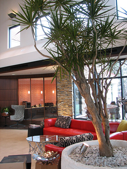 Plants for hotels by Planterra