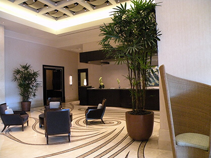 Plants for hotels by Planterra