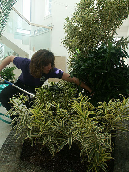 Pest control for plants with integrated pest management.