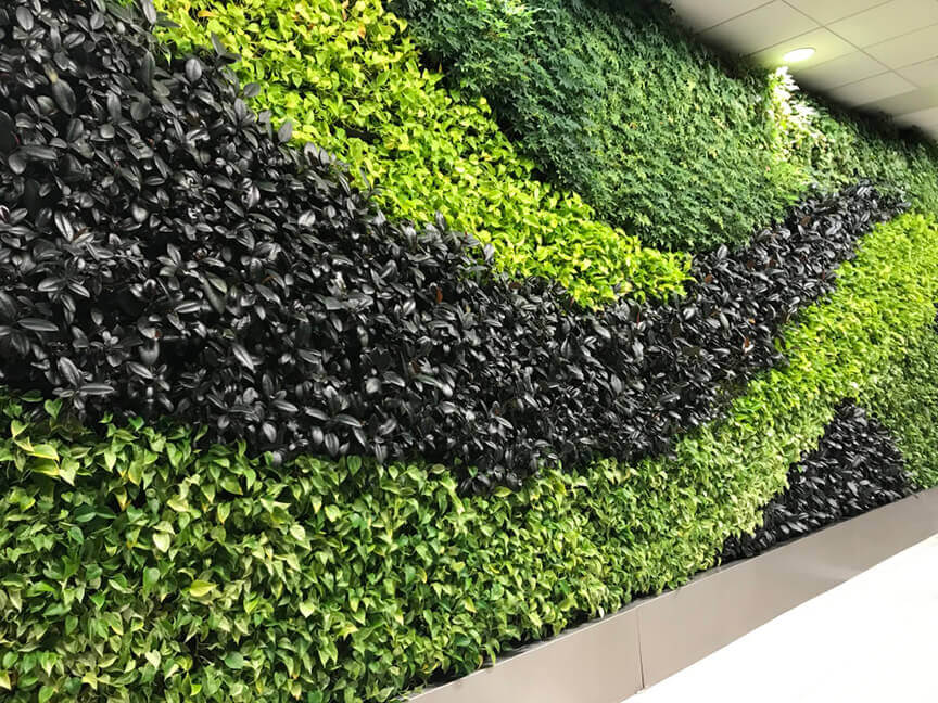 DTW Airport Living Wall by Planterra