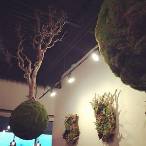 Hanging moss balls are a common faux foliage addition.