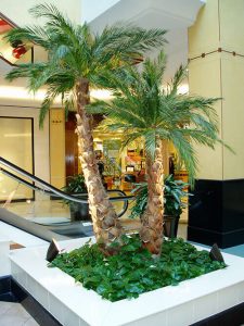 Preserved palms are a form of artificial plants