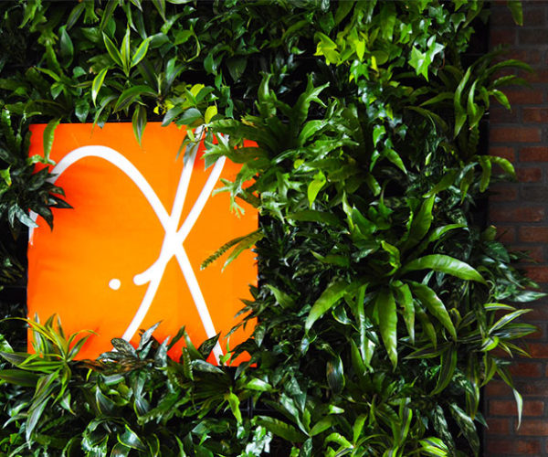Branding and logos can be incorporated into living walls.