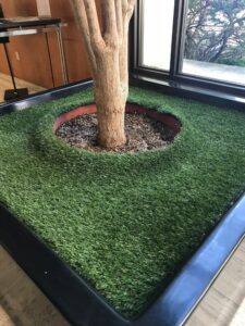 Artificial turf as plant top dressing.