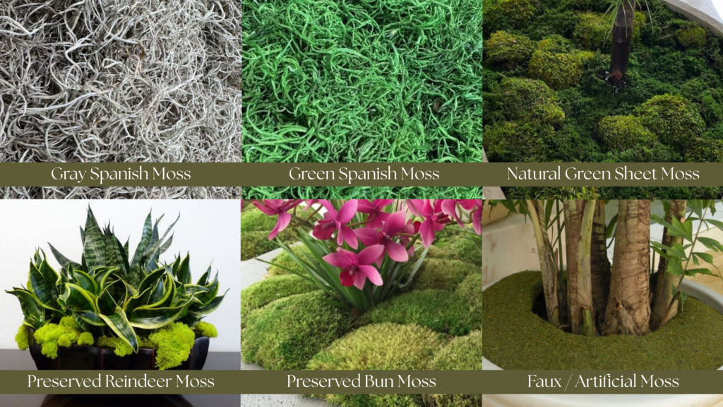 A variety of moss top dressing images with names.