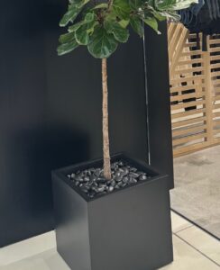 Poly pebble top dressing in an interior plant.