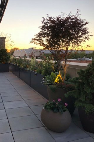 Dreamy Rooftop Garden in 3 Steps with a Planterra Pro