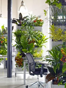 A plant filled workplace