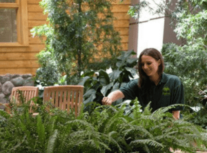 Person tending to indoor plants and ferns in a landscaped seating area.