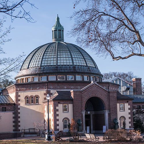 Detroit Zoo