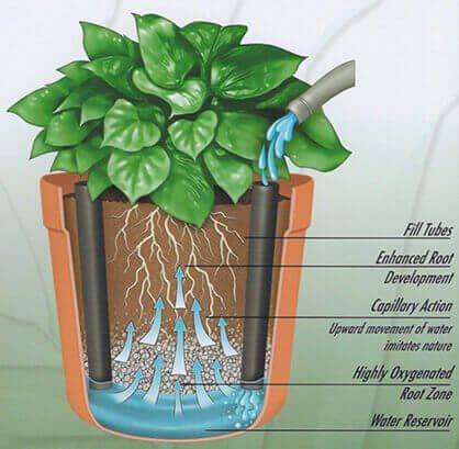 subirrigation