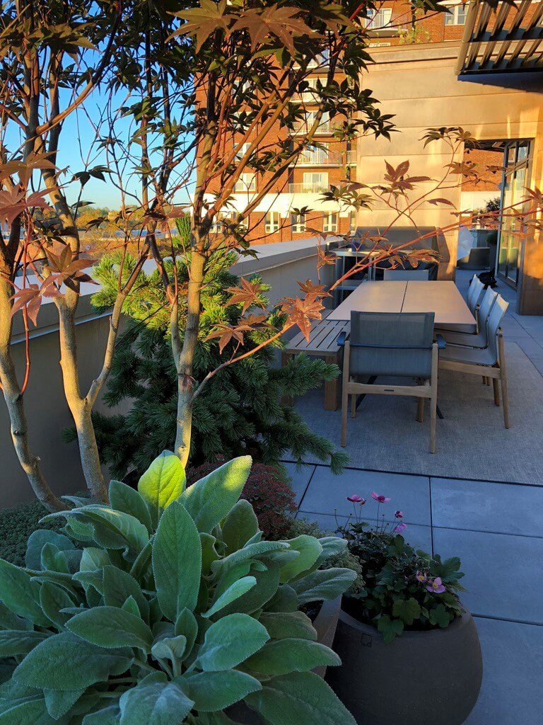Rooftop Garden in Detroit, MI