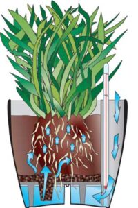 How Sub irrigation works