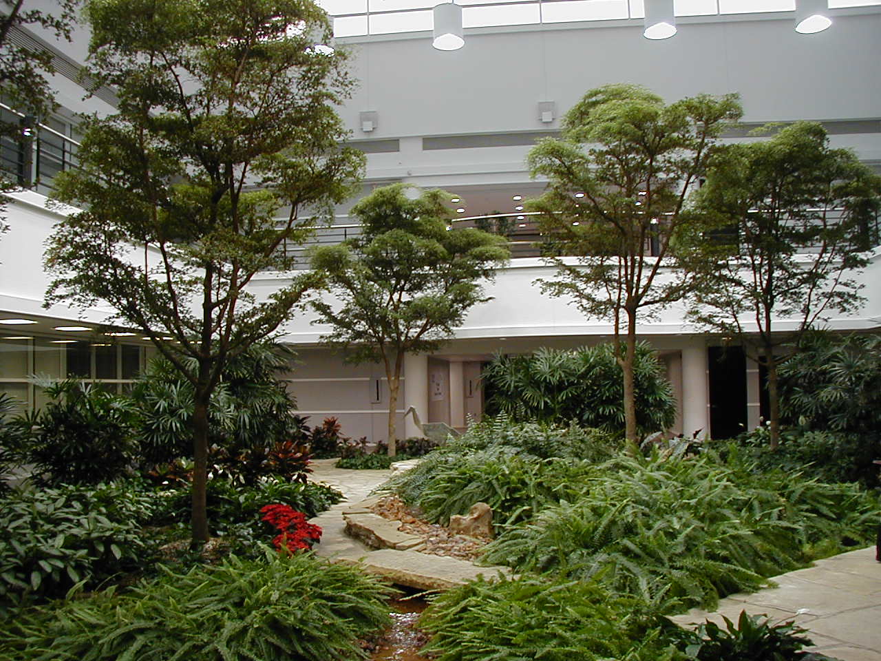 Planterra • Plantscaping vs. Interior Landscaping | Indoor Plant Design ...
