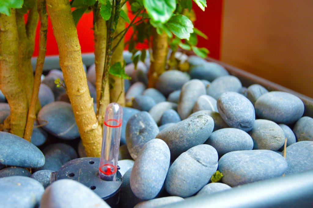 Sub-irrigation fill tube with stone top dressing