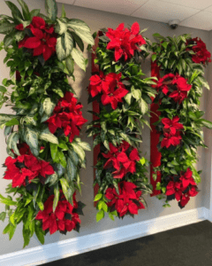 Vertical plant wall panels decorated with red poinsettias.