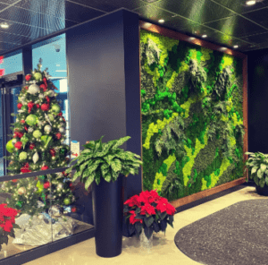 Living green wall with Christmas tree and poinsettias in a lobby.