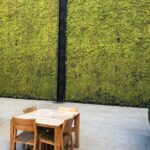 An example of a live moss wall system. 