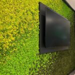 An example of preserved moss in a workplace.