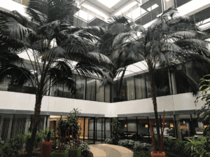 Indoor palm trees in a hotel courtyard.