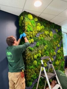 A floral artist designing a moss wall for an office installation.