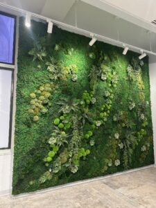 A photo of an office with a moss wall installed.