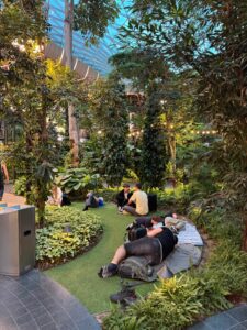 Nature-inspired interior demonstrating biophilia in architecture within a shared public space.