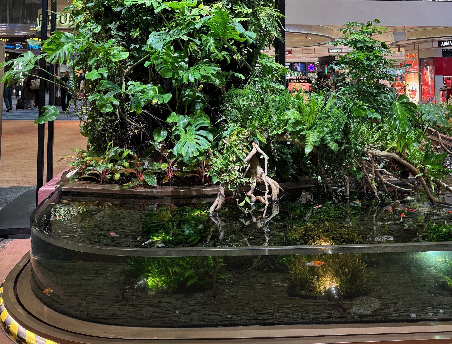 Living green wall with fish, highlighting biophilic interior design.