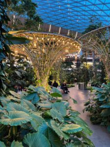 Biophilia in architecture expressed through an immersive indoor garden space.