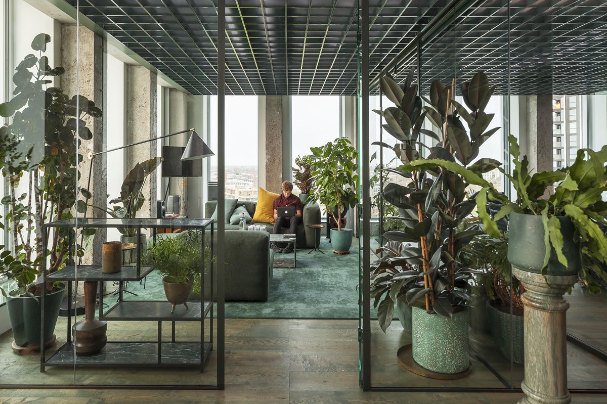 Office plants integrated into a modern workplace to improve mood and employee comfort.