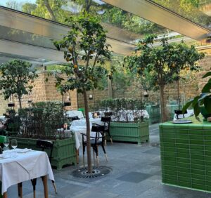 Orange trees growing as indoor citrus trees inside a restaurant greenhouse.