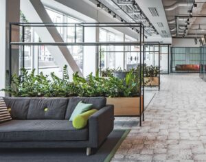 Accent office plants placed throughout an office lobby area.