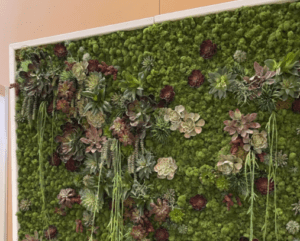 Artificial succulent green wall featuring a variety of textured plants arranged in a framed display