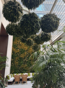 Indoor preserved green wall with hanging plant spheres above a seating area