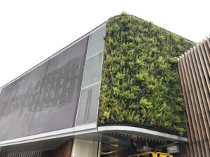Exterior green wall covering the corner of a modern commercial building.