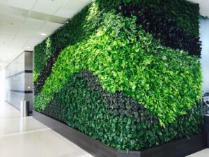 Live green wall turning a corner inside an airport hallway