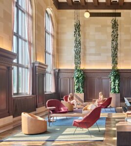 Pothos trained on a totem pole creating vertical height as a tall indoor plant in an office setting.