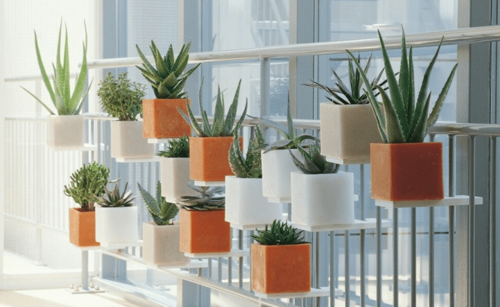 Succulent plants in modern square wall planters on a sunlit indoor balcony railing.