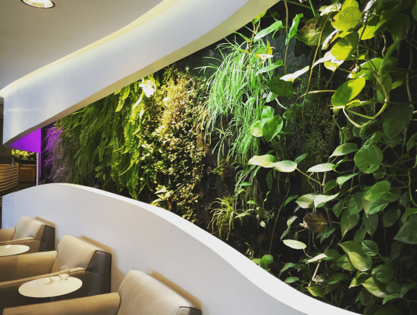 Indoor green wall featuring climbing pothos and other plants along a curved seating area.
