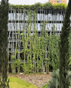 Modern concrete building in Brazil covered with cascading greenery in an eco-brutalist design