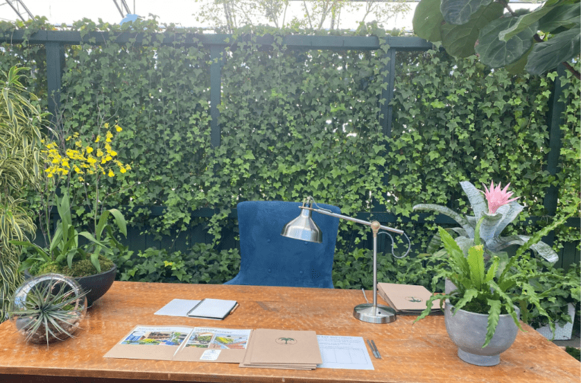 Outdoor workspace with a desk set in front of a climbing Algerian ivy wall.