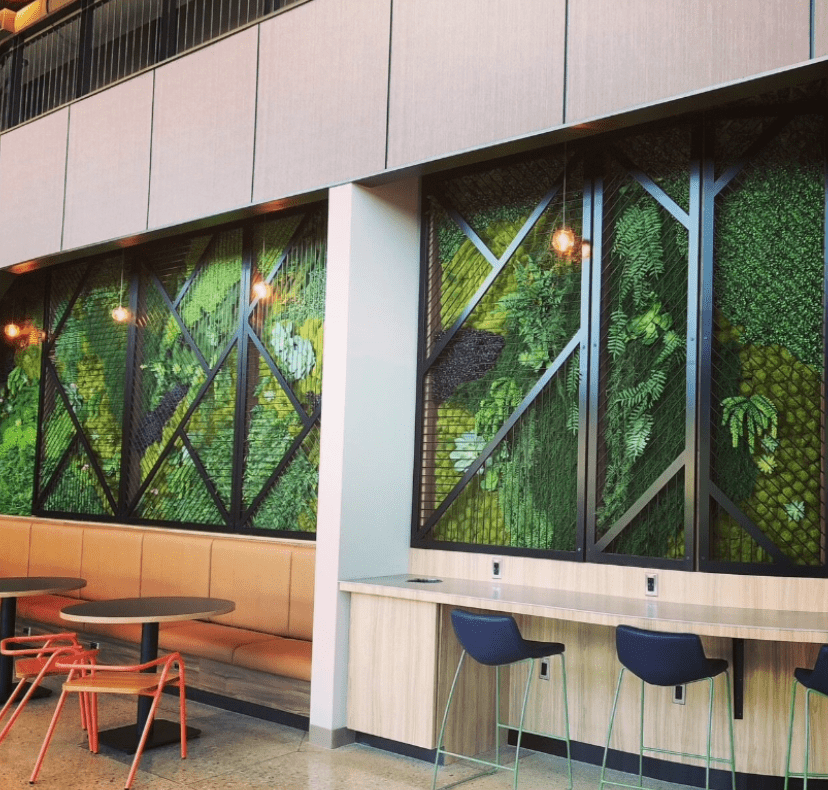 Interior seating area with large artificial green wall panels integrated into window sections in a church.