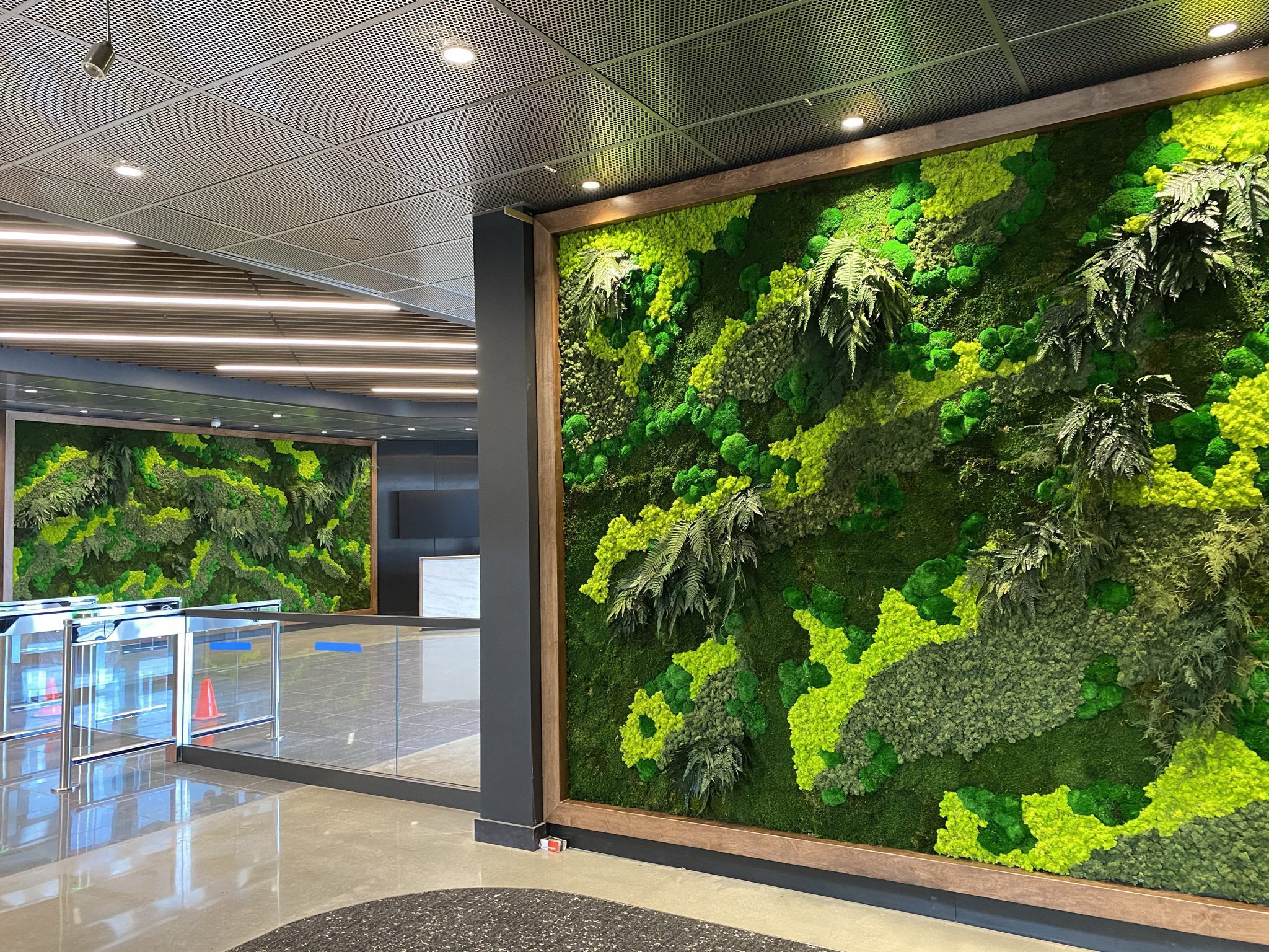 Corporate office interior with large green living walls. 