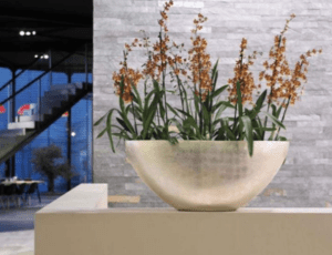 Decorative bowl planter with flowering orchids displayed in a modern commercial interior.