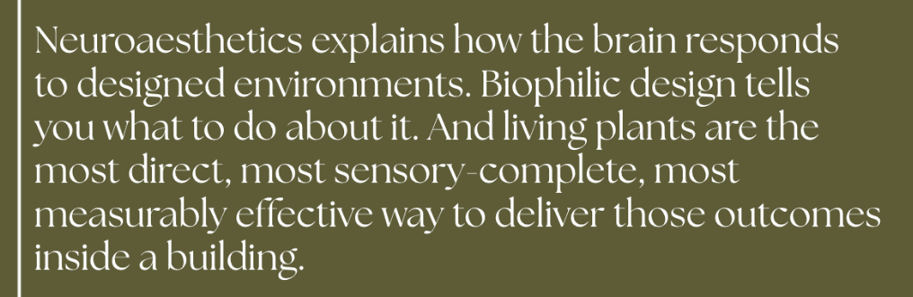 Neuroaesthetics explains how the brain responds to designed environments. Biophilic design tells you what to do about it. And living plants are the most direct, most sensory-complete, most measurably effective way to deliver those outcomes inside a building.