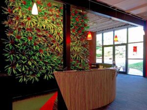 Living wall of red neoregelia bromeliad plants at an office reception desk