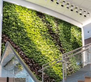 Living wall in a modern office with a staircase and glass railing.
