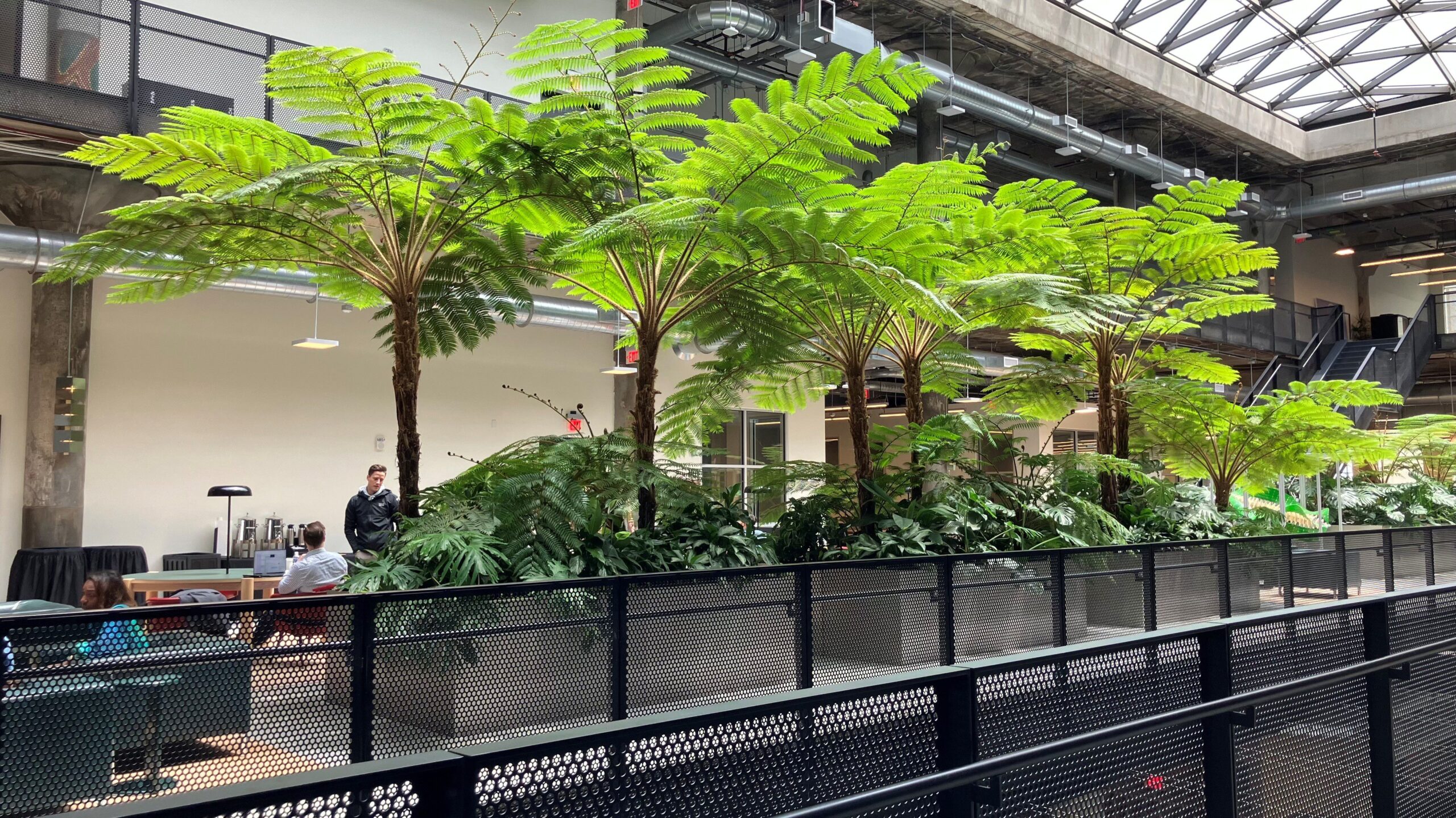 Tree ferns softening an industrial co-working office space at Newlab Detroit