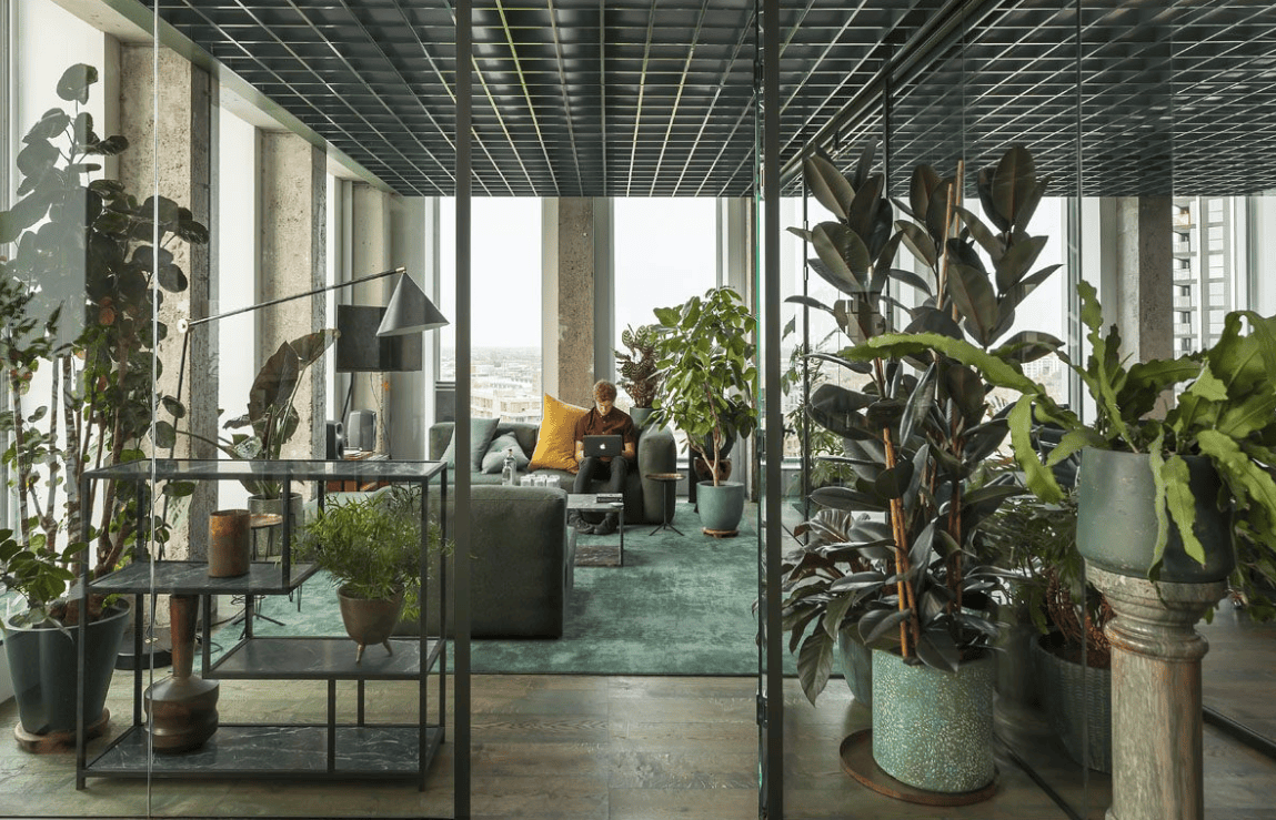 Office meeting space with lush indoor plants and natural light. 