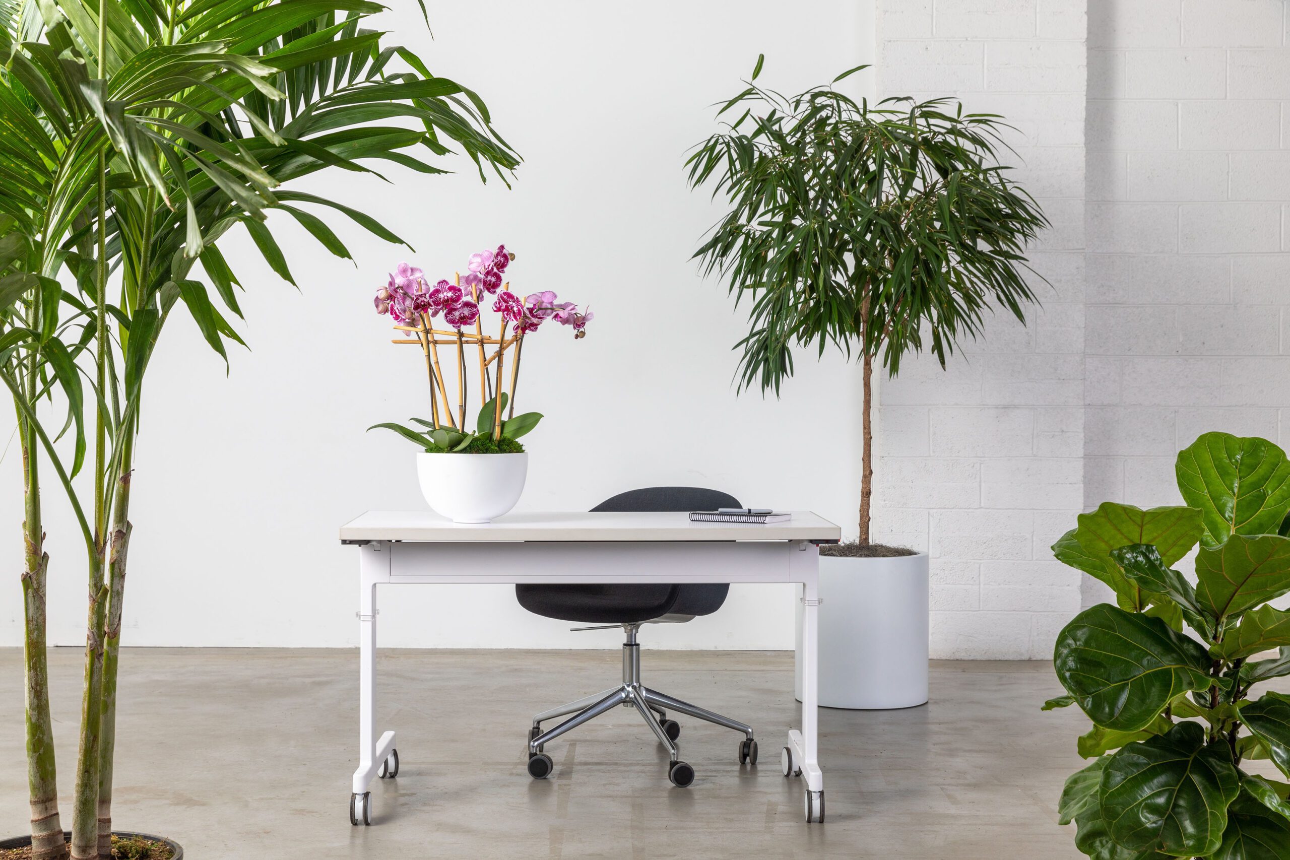 Desk with orchid and foliage plants in a biophilic office setting